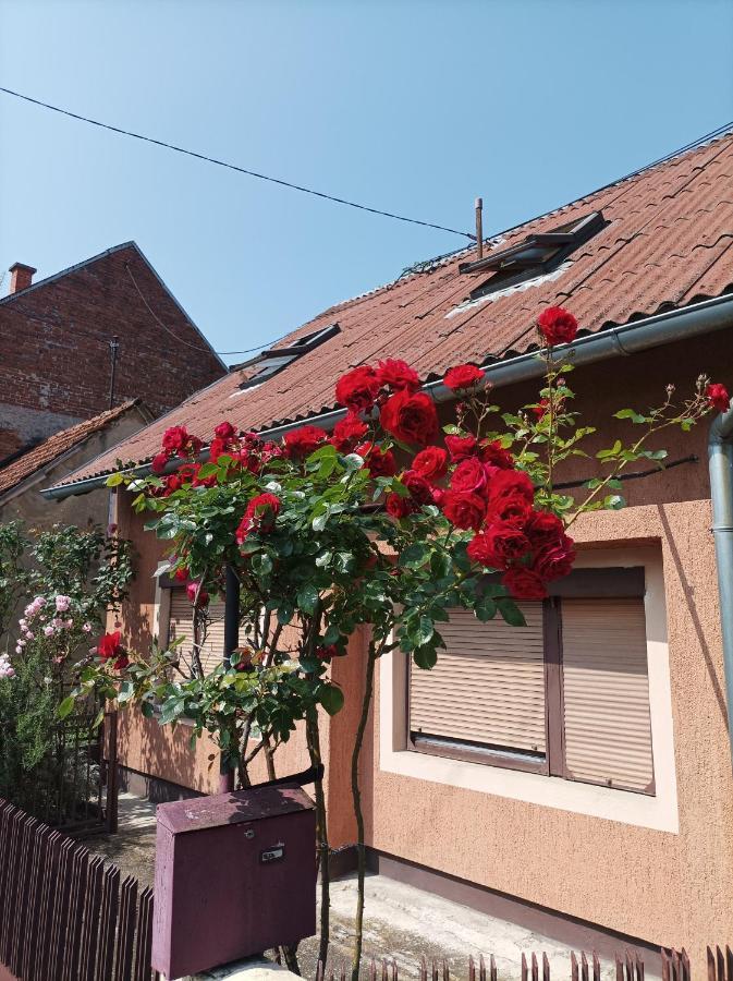 Annabelle Apartman Zágráb Kültér fotó